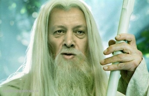 5. Günün şafağında gelen bilim kurulu üyesi.