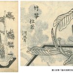 main image of this resource