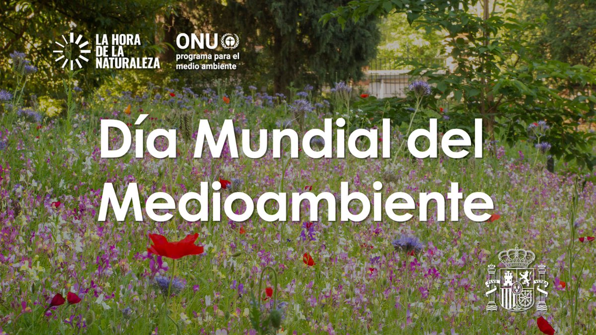 Instituto_IPS's tweet photo. Hoy celebramos el #DiaMundialDelMedioAmbiente  #PorlaNaturaleza es nuestro deber escuchar los mensajes que manda el planeta, cuidar de la #Biodiversidad, y proteger #ecosistemas, #especies y espacios naturales. https://t.co/SNTc1wDbLQ