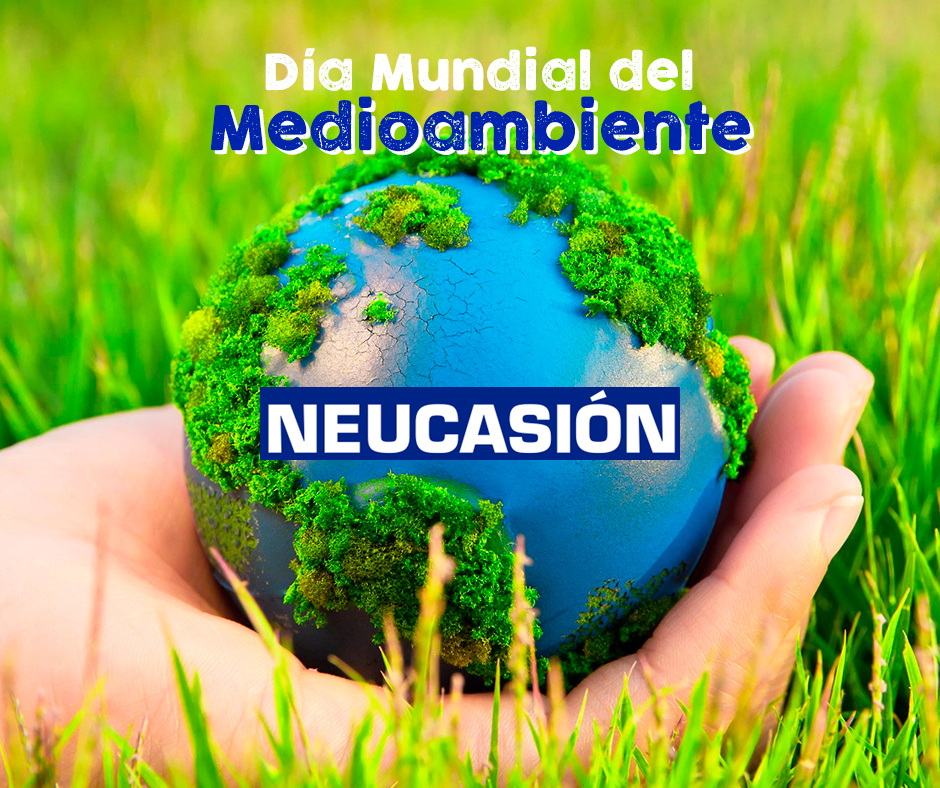 La mejor herencia que podemos dejarle a nuestros hijos es: amor, conocimiento y un planeta en el que puedan vivir. 🌍

Desde Neumáticos Neucasión te recordamos que mil árboles que crecen hacen menos ruido que un árbol que se derrumba. 🌳

#Medioambiente #DiaMundialMedioambiente