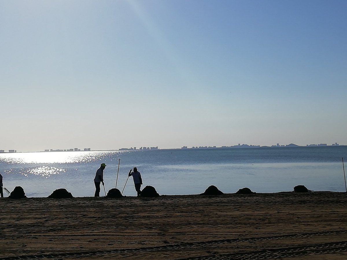 La naturaleza no se riega tan sólo en verano. Es necesario un cuidado constante.