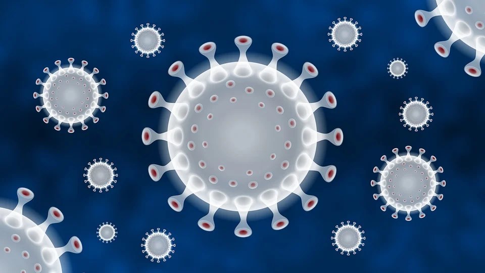 #Coronavirus : après avoir entendu 80 personnalités, la #ComAfEcoSénat présente une "feuille de route" pour faire de la neutralité carbone l’aiguillon du plan de relance économique.

📄 Le CP ➡️ bit.ly/2Xxd1Gm
🧭 La feuille de route ➡️ bit.ly/3cyajVq