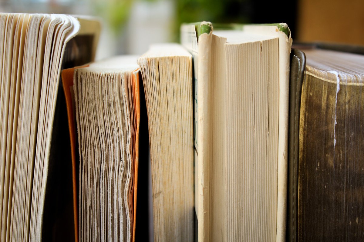 NCL_English's tweet photo. #LitHist students, want a different perspective on The Bard? Check out @NCL_English @EmmaWhipday's work: https://t.co/6Xzo6rZeig 

You may also wish to peruse the following articles:
1. https://t.co/2Wwrtt7B81
2. https://t.co/Jbx5llqAOR
3. https://t.co/EQYYB5UQLU
 #NCLReady https://t.co/rXIuWmArxw