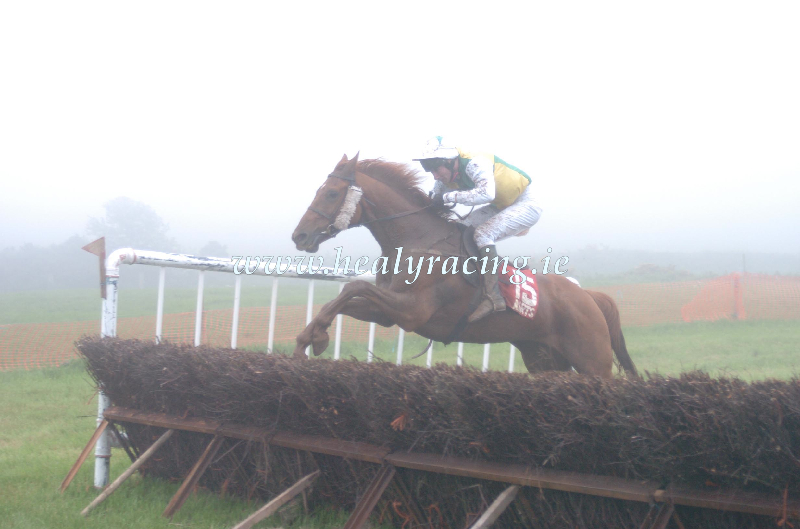 patcashhealy's tweet photo. #FromTheArchives 15 years ago today 4-6-2005
@KinsalePt2Pt   Open Lightweight Race.
"Arctic Times" and John Thomas win for owner Trevor Hemmings and trainer @emosulivan15 @MaxineOSullivan 
(c)https://t.co/voWGTccgic https://t.co/h3nEb0vwvQ