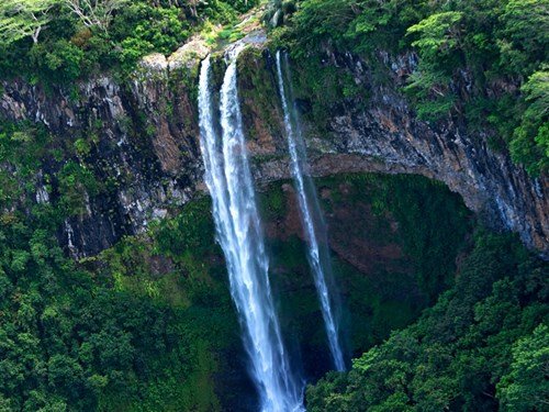 TC_Dubai's tweet photo. Picturesque volcanic peaks and wilderness areas including the Black River Gorges National Park and La Vallée de Ferney offer fantastic opportunities for hiking and experiencing some of the island’s unique flora and fauna. ⁠ https://t.co/vHq1B3jbzQ
