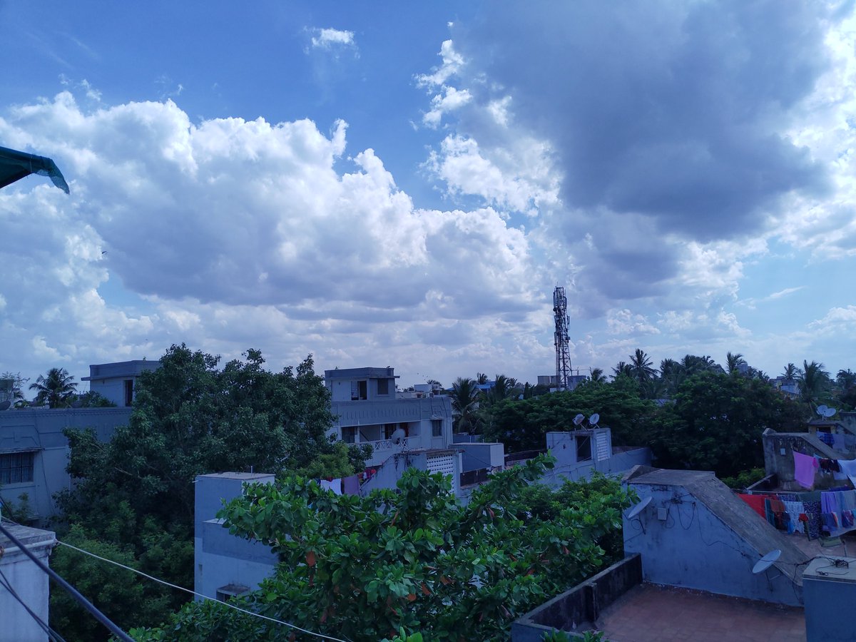 JudeAswath's tweet photo. Some kind of cool tint going on my daylight photos (NOKIA 8.1)
@NokiamobileIN 
@nokia 
Please resolve it in the upcoming update https://t.co/57sgtgICwr