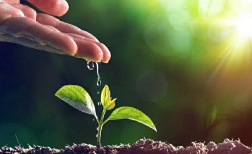 Suman07550122's tweet image. This day will keep reminding us how we have exploited mother nature and on the contrary give us vision to correct it all..let's promise to make it better place to live..
#letspledge
#saveEarth 
#keepclean
#keepgreen
#NurtureTheNature 
#WorldEnvironmentDay2020