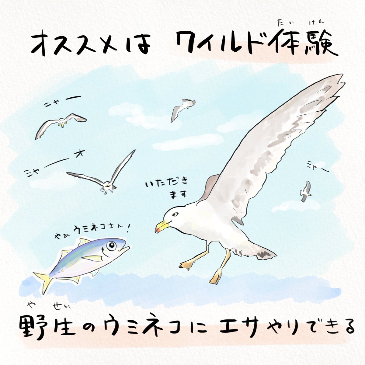 #加茂水族館 では見るだけじゃなく食べることもできる、クラゲを五感で楽しめる水族館!落ち着いたら山形へ遊びに行ってみてね。(2/2) 