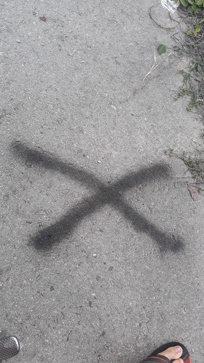 Dấu X mình  đánh dấu là  2 đường song song nhau . 1 con đường  chia 2 nhánh nhỏ.