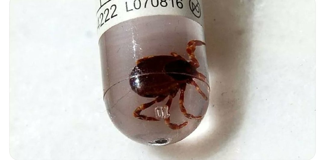 Prof. Dr. Yıldız'dan 'KKKA' uyarısı: 
- Koronavirüsten daha ölümcül 
- Kayseri'de 7 vaka görüldü, 2 kişi hayatını kaybetti.

Bu apaçık uçaklarla yapılan biyolojik saldırı.