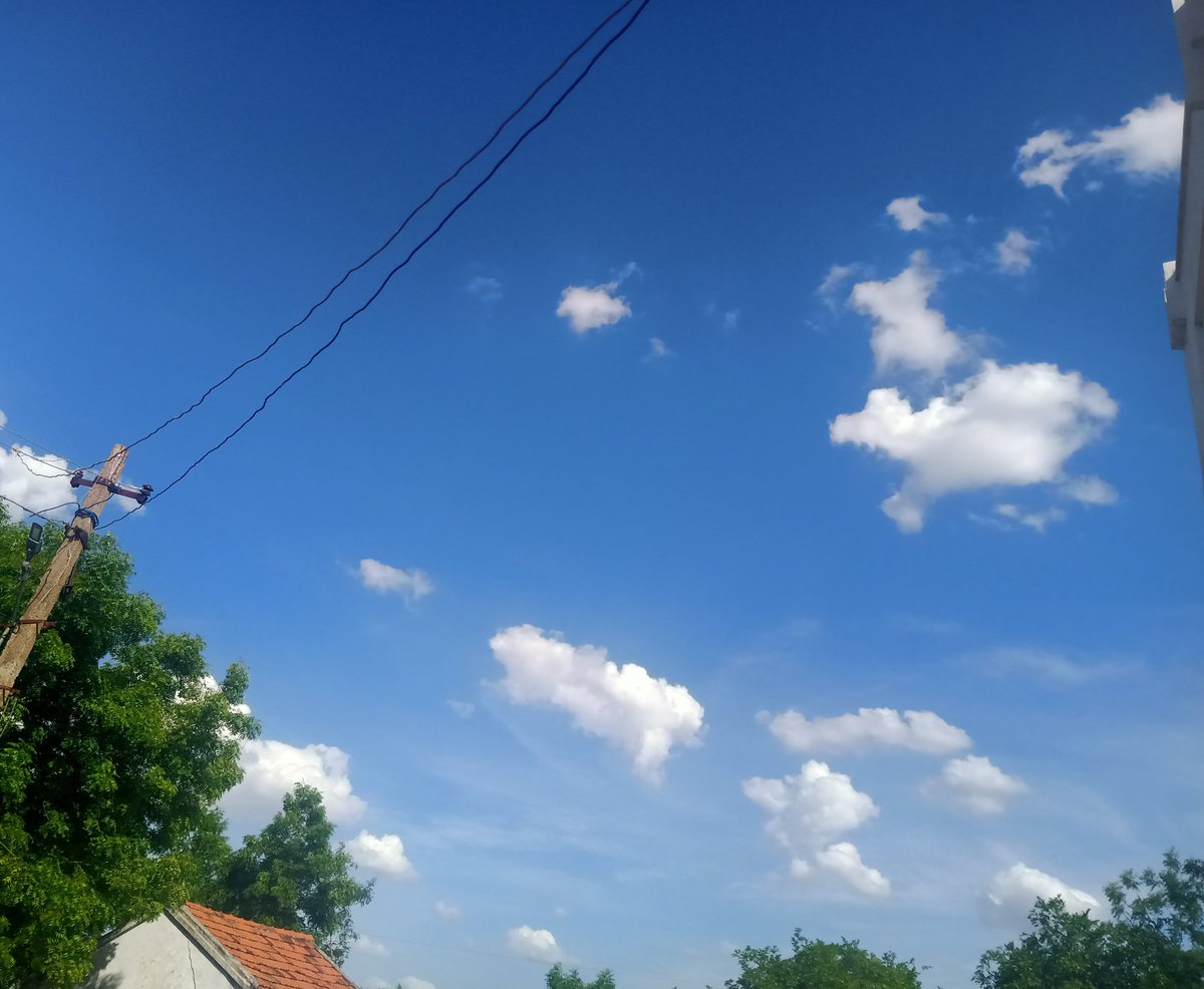 Beautiful dayKeep calm ,absorb nature  #TodayClicks #MadhuriClicks