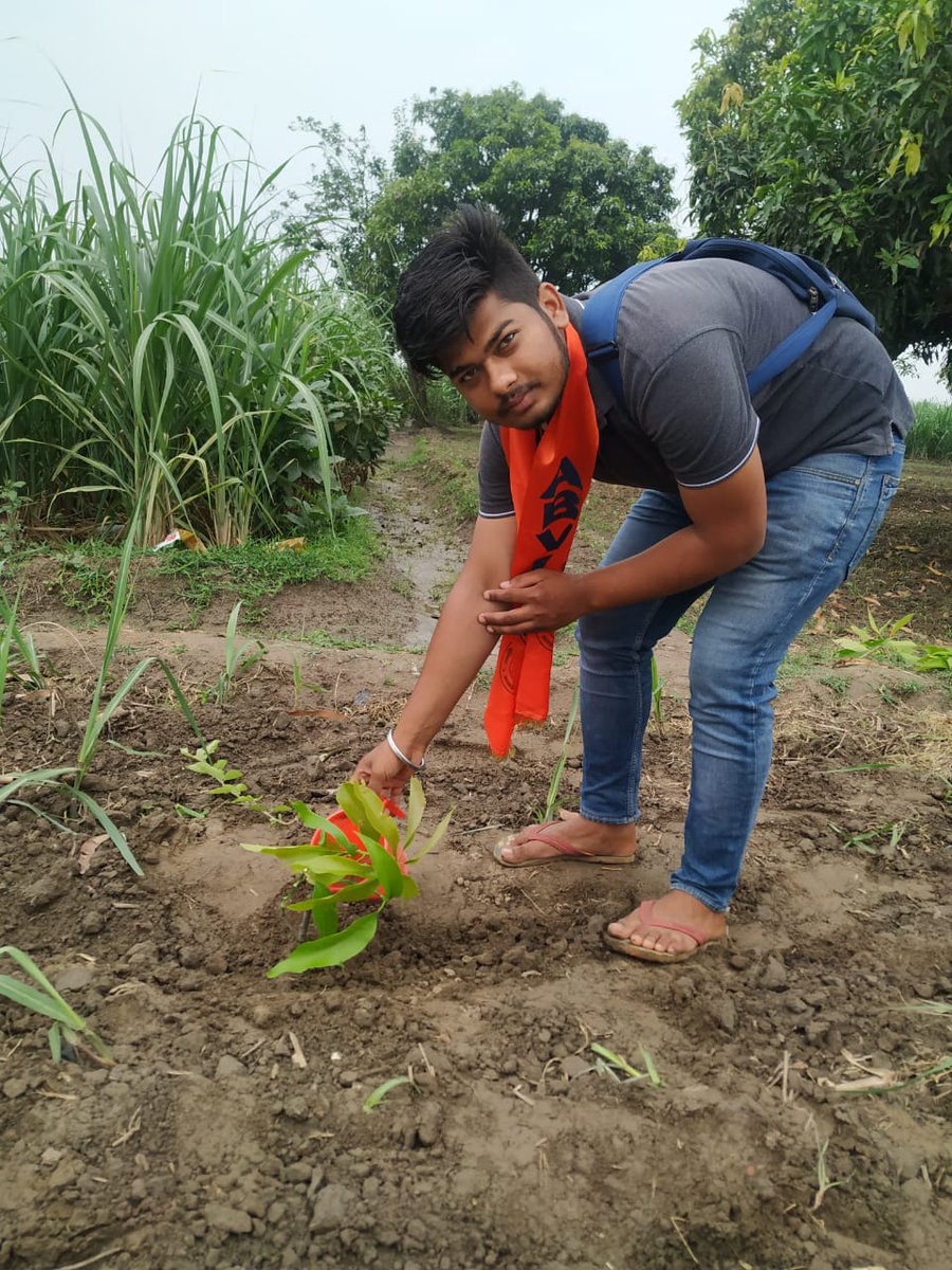 SadharanpurS's tweet photo. अखिल भारतीय विद्यार्थी परिषद् जिला मेरठ की प्रत्येक इकाई के सभी कार्यकर्ताओं द्वारा 5 जून + 5 पौधे का संकल्प लेकर पौधा रोपण किया गया।
पर्यावरण दिवस की आप सभी को हार्दिक शुभकामनाएं एवं बधाई।
#5June5TreeSFD
#ABVPForNature
#ABVPForFuture
#WorldEnvironmentDay @ankitswami @ABVPVoice https://t.co/wL3xEn9o0R