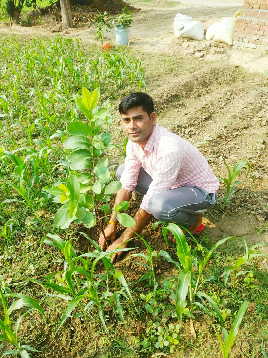 SadharanpurS's tweet photo. अखिल भारतीय विद्यार्थी परिषद् जिला मेरठ की प्रत्येक इकाई के सभी कार्यकर्ताओं द्वारा 5 जून + 5 पौधे का संकल्प लेकर पौधा रोपण किया गया।
पर्यावरण दिवस की आप सभी को हार्दिक शुभकामनाएं एवं बधाई।
#5June5TreeSFD
#ABVPForNature
#ABVPForFuture
#WorldEnvironmentDay @ankitswami @ABVPVoice https://t.co/wL3xEn9o0R