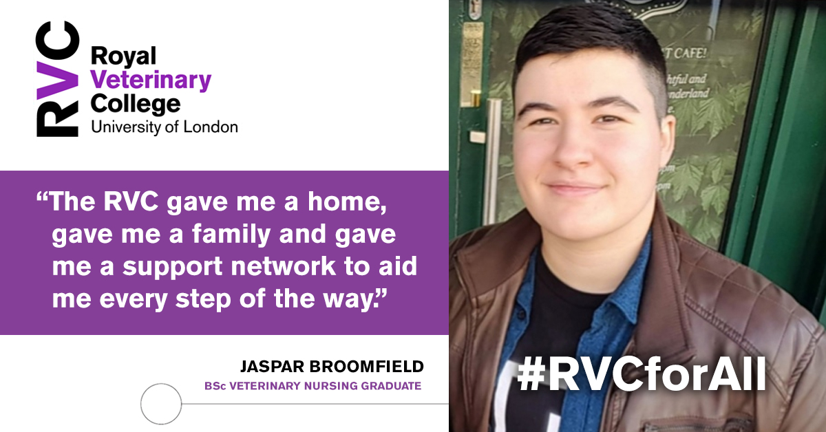 RoyalVetCollege's tweet photo. ๐ Today we relaunched the #RVCforAll section on our website bringing together some of the ongoing initiatives, visiting opportunities and personal stories from our students #RVCIsOpen
โก๏ธ Read more at: https://t.co/bnXsaDVo9A https://t.co/0XzJ2xPZaQ