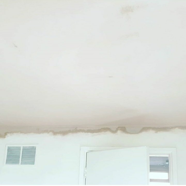 roycehall_ltd's tweet photo. Ceiling removal, insulated, regarded then bonded and skimmed.
#plaster #plaster #plastering #removal #ceiling #bonded #Construction #constructionworker #surrey #london #builder #builders #renovation #plasterboard #homerenovation #ceilingrenovation #raynespark #houses #Buildings https://t.co/ucPjslILAz