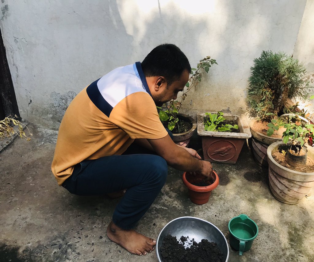 RkeshPatil1's tweet photo. #cscplantatree Celebrating #WorldEnvironmentDay let us take appropriate measures to protect the plants and animals. @CSCMaharashtra @CSCegov_ https://t.co/zRLE8M3sUW @CscDhule https://t.co/ZS8fGxxD6n