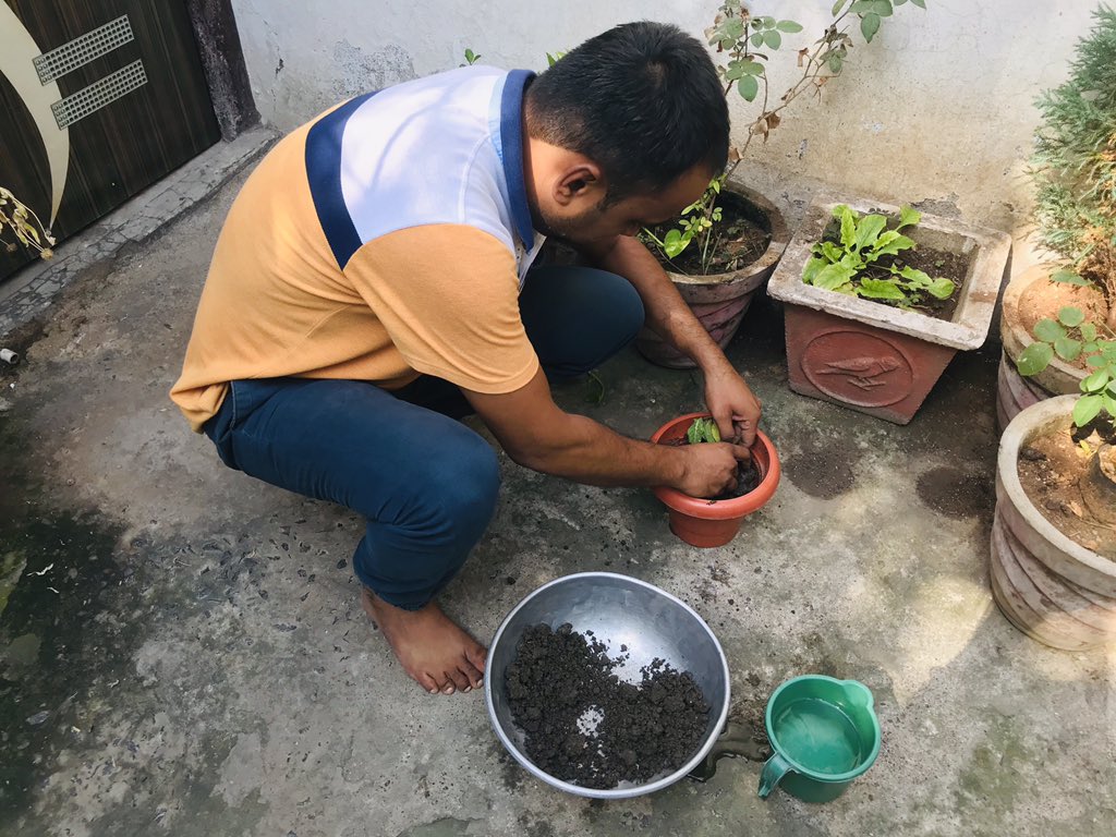 RkeshPatil1's tweet photo. #cscplantatree Celebrating #WorldEnvironmentDay let us take appropriate measures to protect the plants and animals. @CSCMaharashtra @CSCegov_ https://t.co/zRLE8M3sUW @CscDhule https://t.co/ZS8fGxxD6n