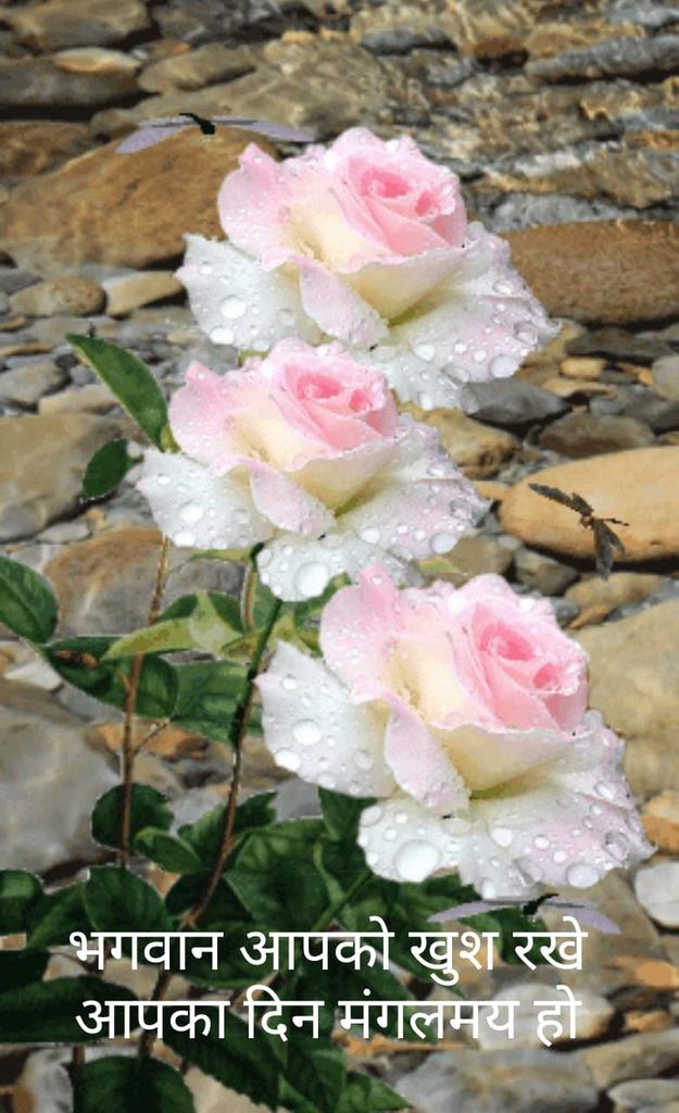   HAPPY BIRTHDAY TO YOU SIR. 