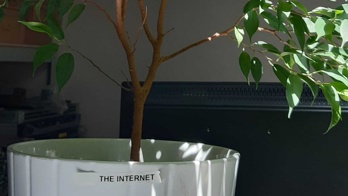 AS43100 - France-IX Lyon tweet media