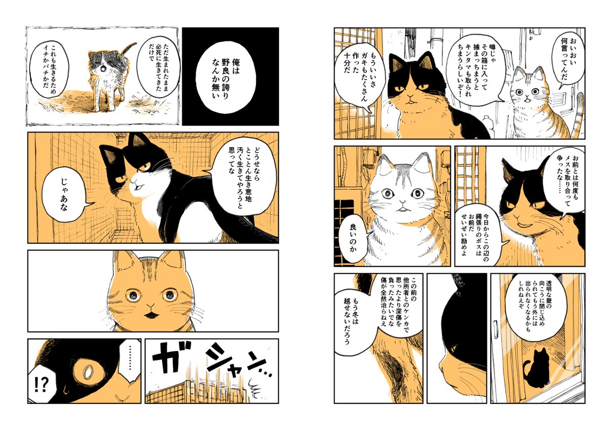 【創作】野良のボス猫が保護されようとする話 