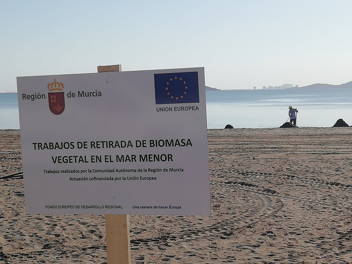 Amandamrubio's tweet photo. #SOSMarMenor
La naturaleza no se riega tan sólo en verano. Es necesario un cuidado constante. https://t.co/wfI8aklnMk