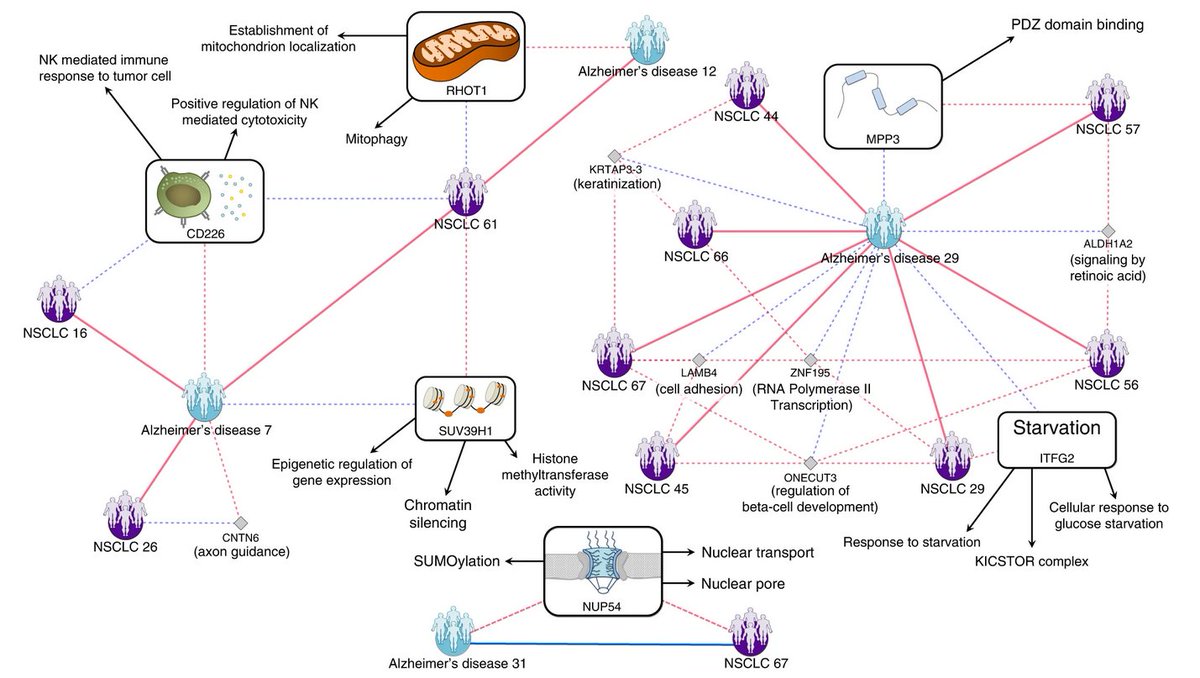 Davide Cirillo (@davide__cirillo) on Twitter photo So excited about this! A deep dive into #comorbidities by @jonsv89 & collabs <a href="/BSC_CNS/">BSC-CNS</a> @CNIO_Cancer <a href="/IBE_Barcelona/">Institute of Evolutionary Biology (IBE)</a> <a href="/INB_Official/">INB / ELIXIR-ES</a> @CIBER_SAM @univamu <a href="/crctoncopole/">CRCT-Oncopole</a> spotting patient subgroups, molecular bases and impact of drugs on disease risk <a href="/NatureComms/">Nature Communications</a> t.ly/VgK4 So excited about this! A deep dive into #comorbidities by @jonsv89 & collabs <a href="/BSC_CNS/">BSC-CNS</a> @CNIO_Cancer <a href="/IBE_Barcelona/">Institute of Evolutionary Biology (IBE)</a> <a href="/INB_Official/">INB / ELIXIR-ES</a> @CIBER_SAM @univamu <a href="/crctoncopole/">CRCT-Oncopole</a> spotting patient subgroups, molecular bases and impact of drugs on disease risk <a href="/NatureComms/">Nature Communications</a> t.ly/VgK4