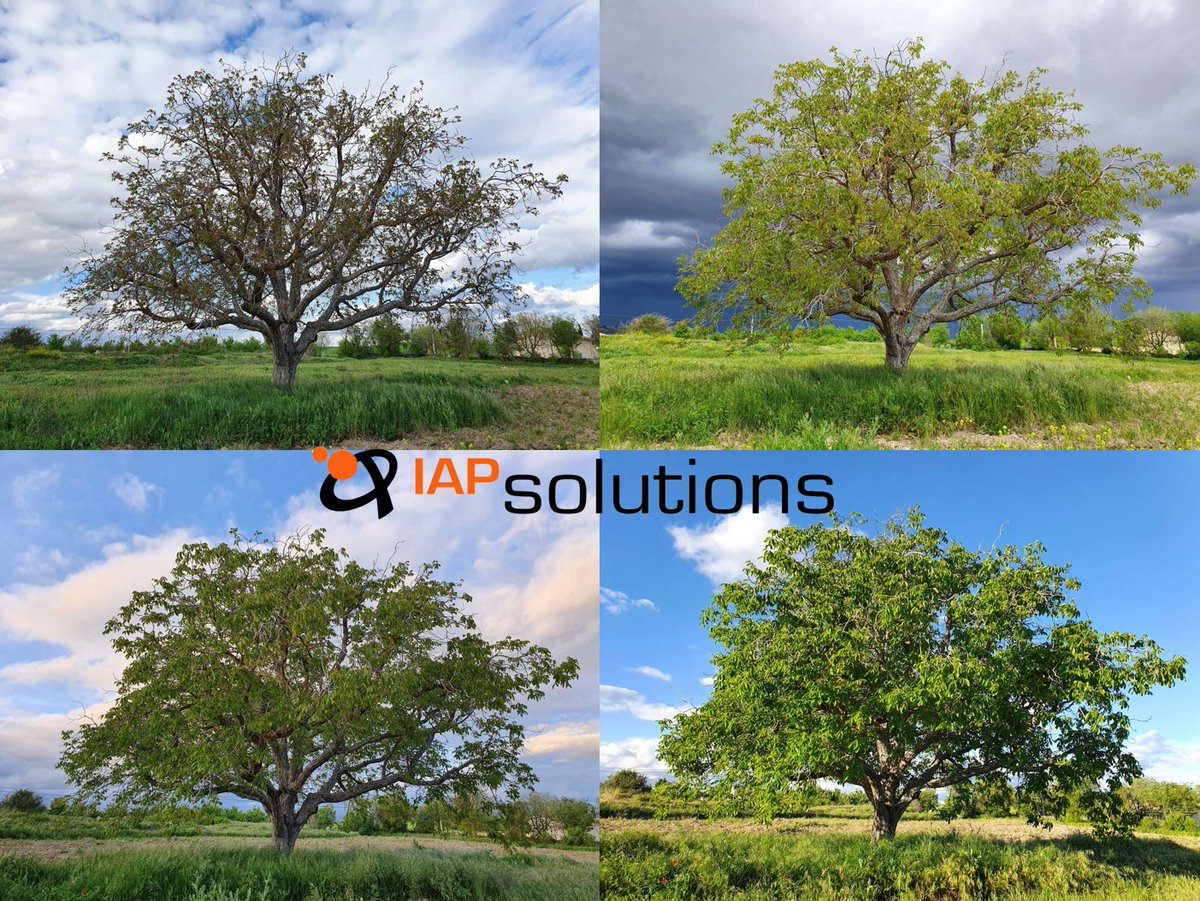 IAPSOLUTIONS's tweet photo. "No rompas el ciclo de la vida". 

Protege la #Biodiversidad del planeta. 🌎

#IAPsolutions trabaja por la #naturaleza y celebra el #DiaMundialDelMedioAmbiente https://t.co/ffad8u3njs