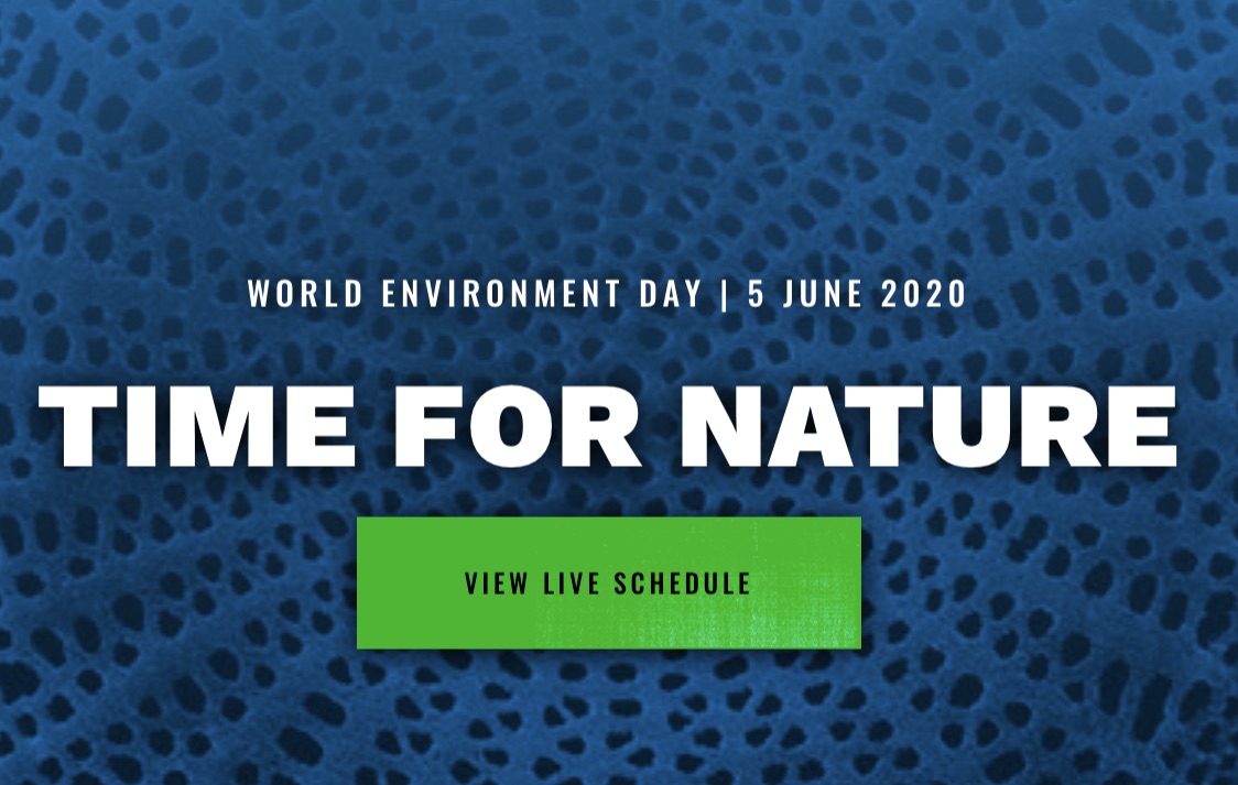 dszeller's tweet photo. Today is #WorldEnvironmentDay!
2020 theme= Biodiversity
Together we can act #ForNature. Annually since 1974 to raise public awareness. Run by @UNEP, supported by German Ministry @bmu
#DGEnvironment #mitigation #adaptation @IUC_EU @IUC_Asia
More at https://t.co/XZCZUazGAi https://t.co/UrgqfnUtV2