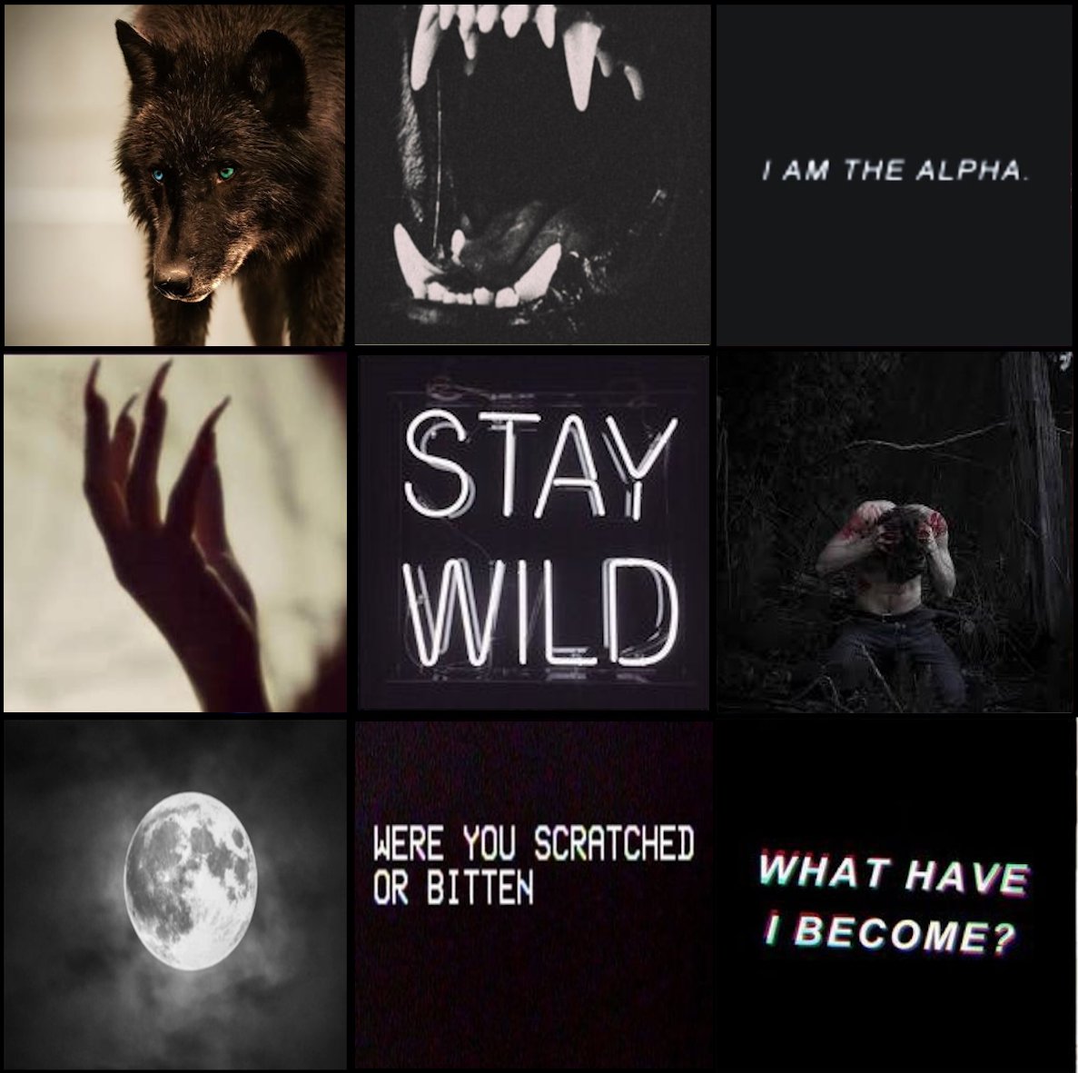 {-Event Pinned-}

Werewolf!Jack!

-DMS and @'s are open for plotting! or general curiosity on how I'll be running this event.

-Event Info Below-

(mood board by Me.)
