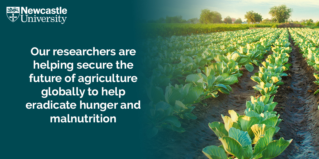 UniofNewcastle's tweet photo. At the forefront of agritech innovation, food supply chains, consumer behaviour, policy & health. Learn how our researchers are helping secure the future of #agriculture 🌱
👉https://t.co/dnzjUoQT3B @gatesfoundation
#WorldEnvironmentDay #ForNature #NCLGlobalChallenges https://t.co/a4hmQFN2kt
