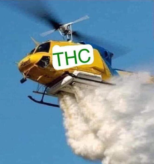 Intl_Highlife's tweet photo. The next logical step https://t.co/eFzBrwulBF