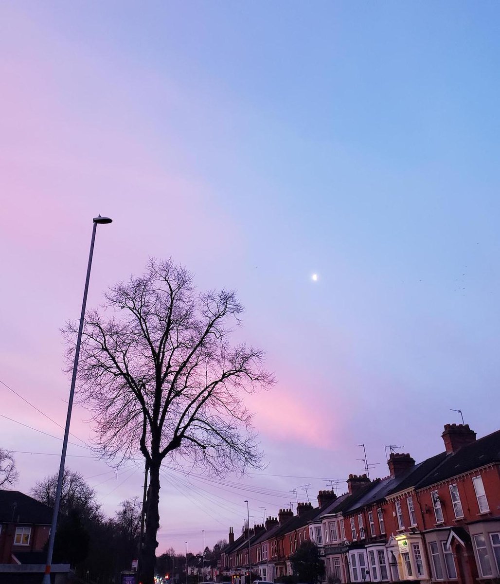 With 55% of the world's population living in urban areas - protecting #urbantrees has never been more important. Learn about their benefits here: saveourstreettrees.org/treebenefits – and stand up for your #streettrees this #WorldEnvironmentDay! 🌳💚🌳#saveourstreettrees <a href="/UNEP/">UN Environment Programme</a>