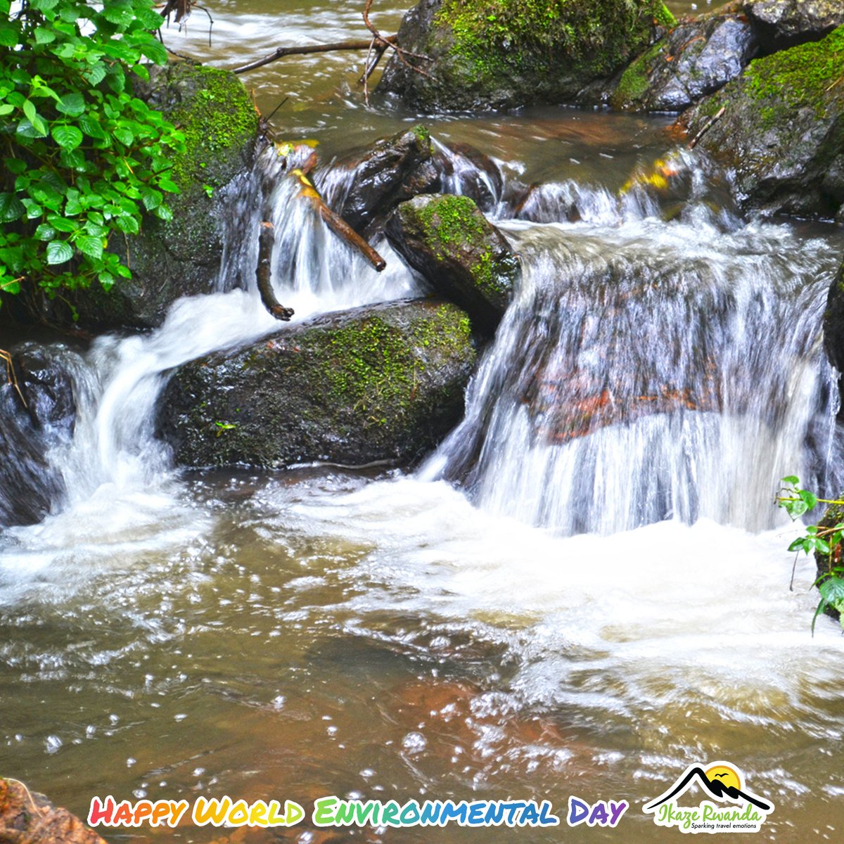 World environmental day 2020