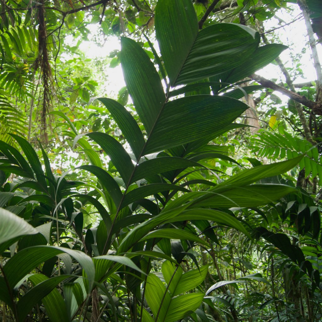 clashing_cult's tweet photo. Heute ist Weltumwelttag! Was wirst du dafür tun, dass auch unserer Kinder sich noch an der #biodiversität erfreuen können?
***
#weltumwelttag #environment #nature #savetheplanet https://t.co/pPWFjB0pdF