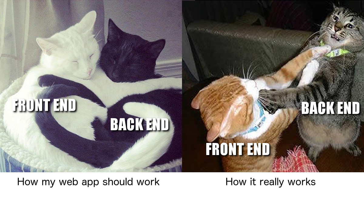ProgrammerCats's tweet image. Expectation vs reality #1. #programmerhumor #codinglife #codinghumor #codingmemes #programmermemes #catmeme #dankmeme #cats