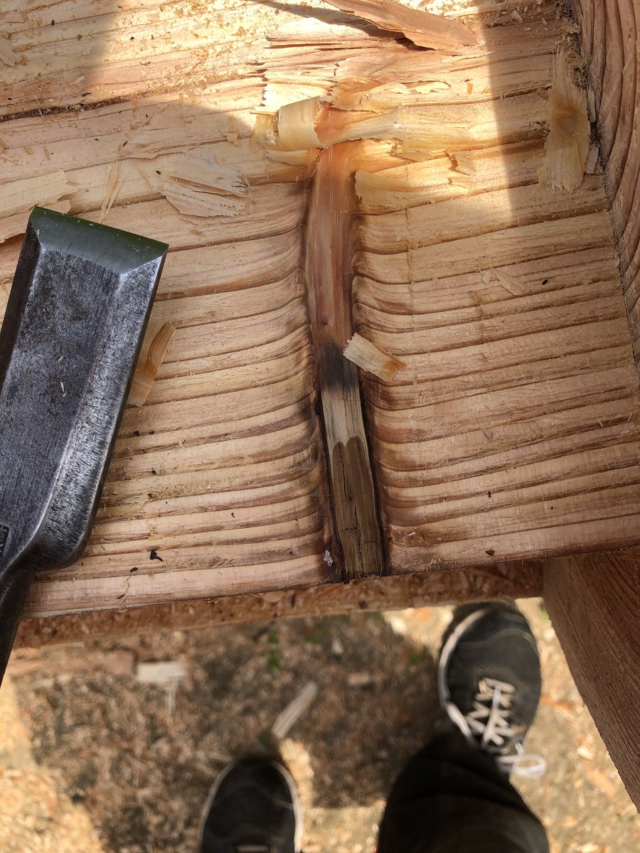 b084m026x's tweet image. 節がきれいだ、刃物は偉大🐢
#logbuilder