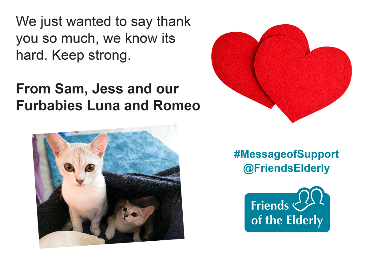 FriendsElderly's tweet image. Wish we could hug Luna and Romeo seen in this #MessageofSupport to our residents and staff 😍 Thanks for sending your message and a lovely picture of your furbabies Sam and Jess ❤️

Email your own message of support to messageofsupport@fote.org.uk. #HugYourCatDay