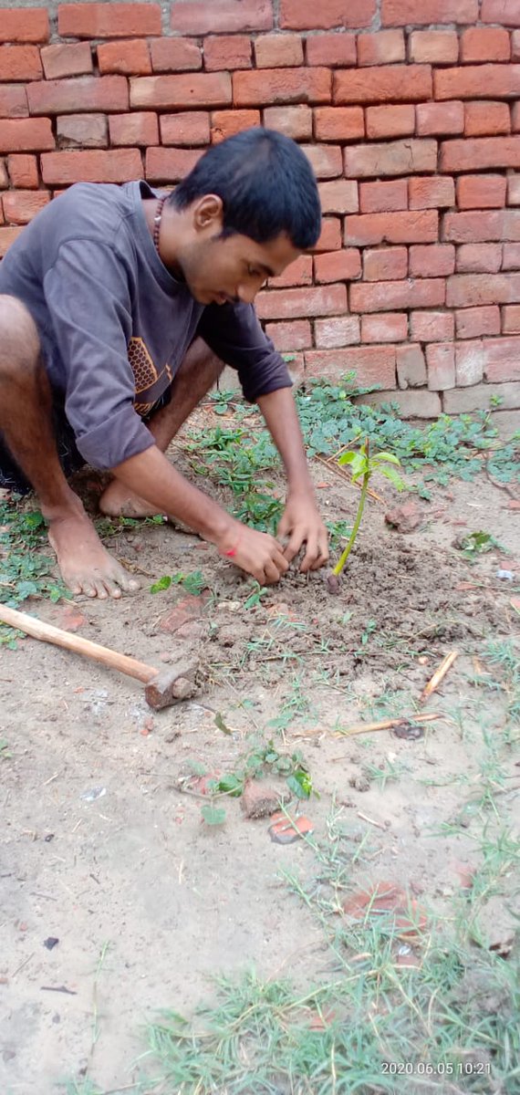 ABVPghazipur61's tweet photo. #ABVP_गाजीपुर
#selfie_with_plants
चलो इस धरती को रहने योग्य बनाएं,
सभी मिलकर विश्व पर्यावरण दिवस मनाए।
जिससे हमारी प्रकृति हरी भरी रहे उसका सौंदर्य बना रहे।
पर्यावरण दिवस की आप सभी को हार्दिक शुभकामनाएं एवं बधाई।
#5June5TreeSFD
#ABVPForNature
#WorldEnvironmentDay https://t.co/G9PxIW88fv