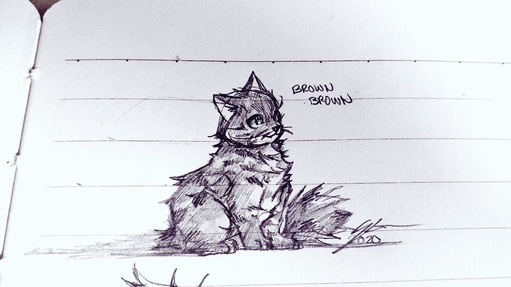A smoll sketch drawing of my cat 