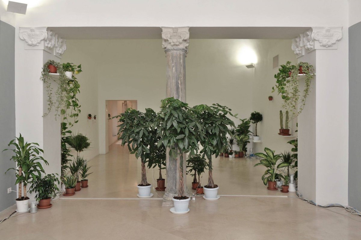 Museo Madre tweet media