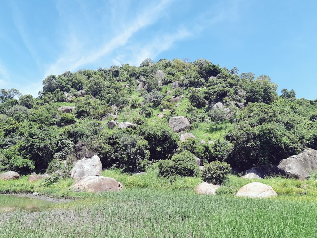 SantiagoQui_'s tweet photo. As #WorldEnvironmentDay2020 unfolds, sharing a few shots from a few wonderful Malawian ecosystems 🇲🇼 https://t.co/RlEKnIoiC9