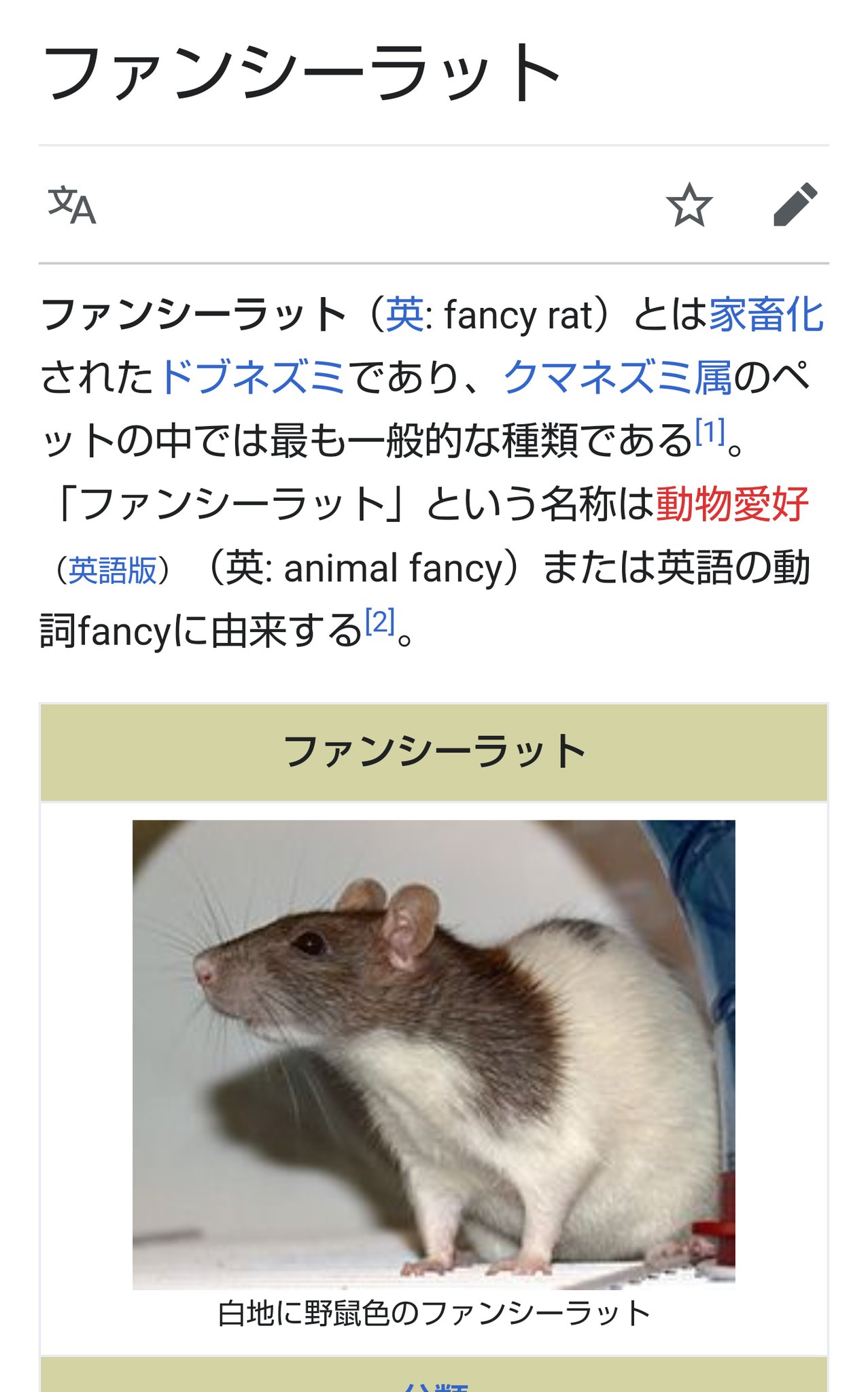 ちきま ペットショップで ファンシーラット というネズミを見たとき どう見てもただのネズミだと思ってたら 滅菌された ドブネズミ T Co Pxblxdfw0b Twitter