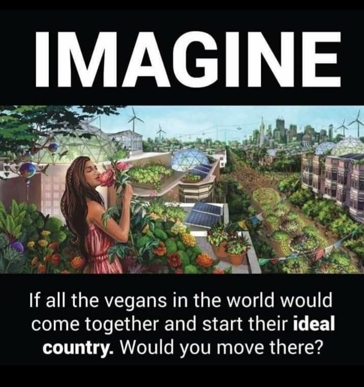 KineticKash's tweet photo. #veganworld #VeganForTheAnimals #BeKindToAllKinds #AnimalsRights #Nature #MotherEarth #MotherNature #Gaia #VeganFollowBack #VeganFollow #VeganFollowForFollow #PlantBased https://t.co/hKQ7cXJNgf