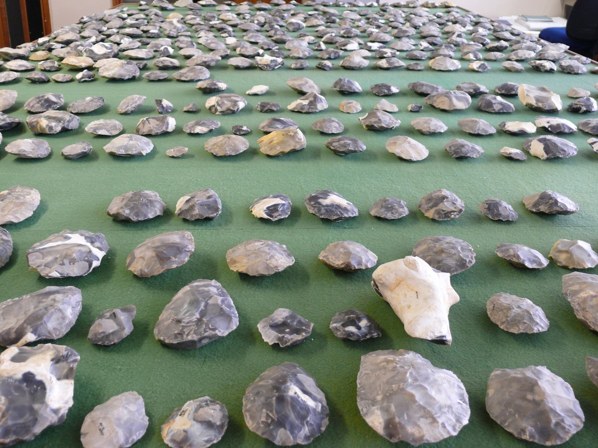 ArchSouthEast's tweet photo. This week’s #FindsFriday features some of the hundreds of bifaces found at the #LowerPalaeolithic #Boxgrove waterhole site! #FlintFriday #Acheulean https://t.co/gyM2z31bhz