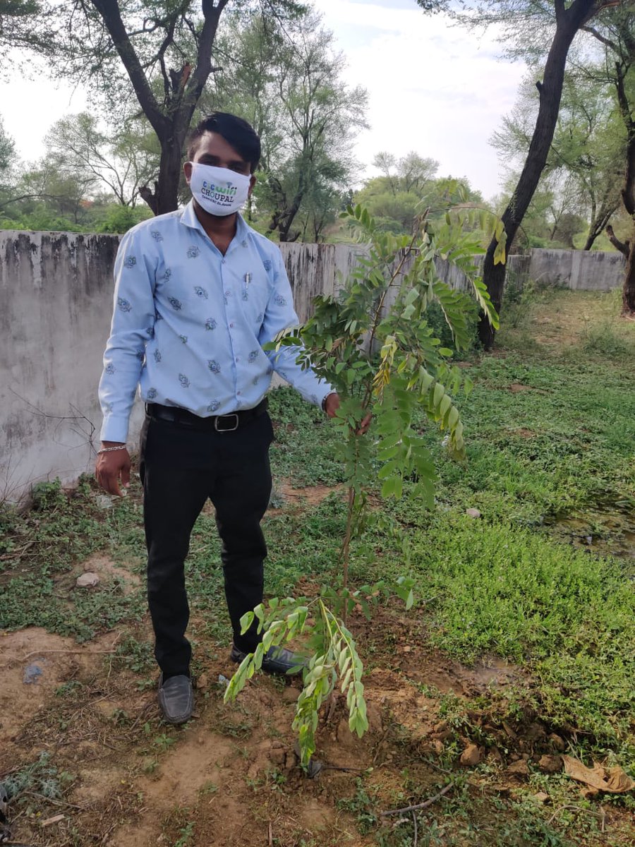 Happy World Environment Day
#cscplantatree
<a href="/jazan_sengupta/">Sengupta Jazan</a> 
<a href="/CSCegov_/">CSCeGov</a> 
<a href="/CSCGujarat/">CSC Gujarat</a> 
<a href="/CSCSPMVISHAL/">CSC_SPM_Gujarat_Vishal</a> 
<a href="/csc_spm/">CSC_SPM_Gujarat_MANOJ</a> 
<a href="/dintya15/">dinesh tyagi Retd IAS</a> 
<a href="/anil_csc/">Anil Rohit</a> 
<a href="/dc_and_csc/">Hiteshkumar M Khristie</a>