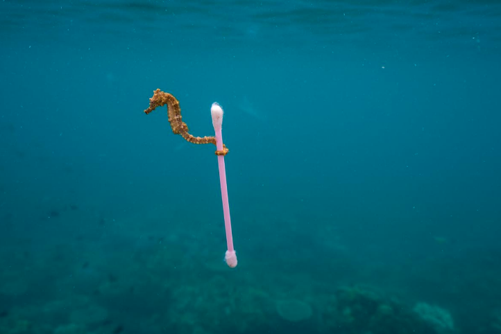 LewisPugh's tweet image. Earth is our home. It’s time to clean up.  #WorldEnvironmentDay