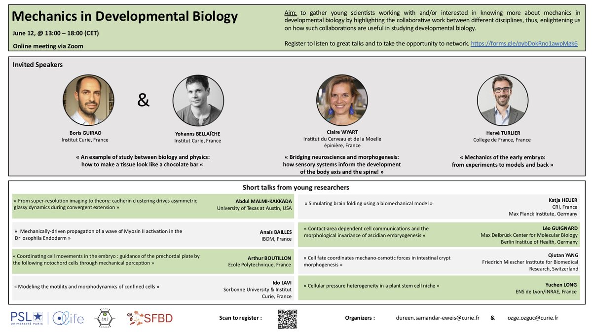 Özge Özgüç (@oozguc) on Twitter photo We have a great list of talks! Our invited speakers ; Boris Guirao, <a href="/bellaiche_y/">YBellaïcheLab</a> , <a href="/ClaireWyart/">Claire Wyart</a> & <a href="/virtual_embryo/">Turlier lab</a> will be followed by 8 amazing young researchers !
To listen these great talks and to take the opportunity to network --> Register here : forms.gle/pybDokRno1awpM… We have a great list of talks! Our invited speakers ; Boris Guirao, <a href="/bellaiche_y/">YBellaïcheLab</a> , <a href="/ClaireWyart/">Claire Wyart</a> & <a href="/virtual_embryo/">Turlier lab</a> will be followed by 8 amazing young researchers !
To listen these great talks and to take the opportunity to network --> Register here : forms.gle/pybDokRno1awpM…