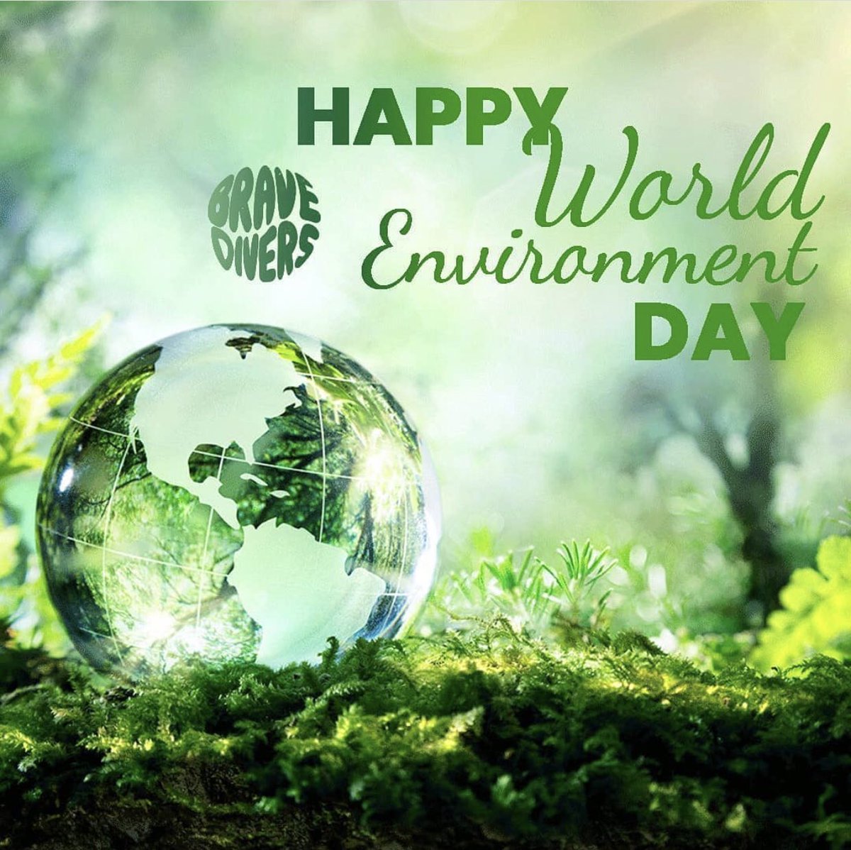 BraveDivers's tweet photo. Cuidemos más del planeta #DiaDelMedioAmbiente  #ecosub #deporteresponsable #deporteecologico https://t.co/61czl0suxw
