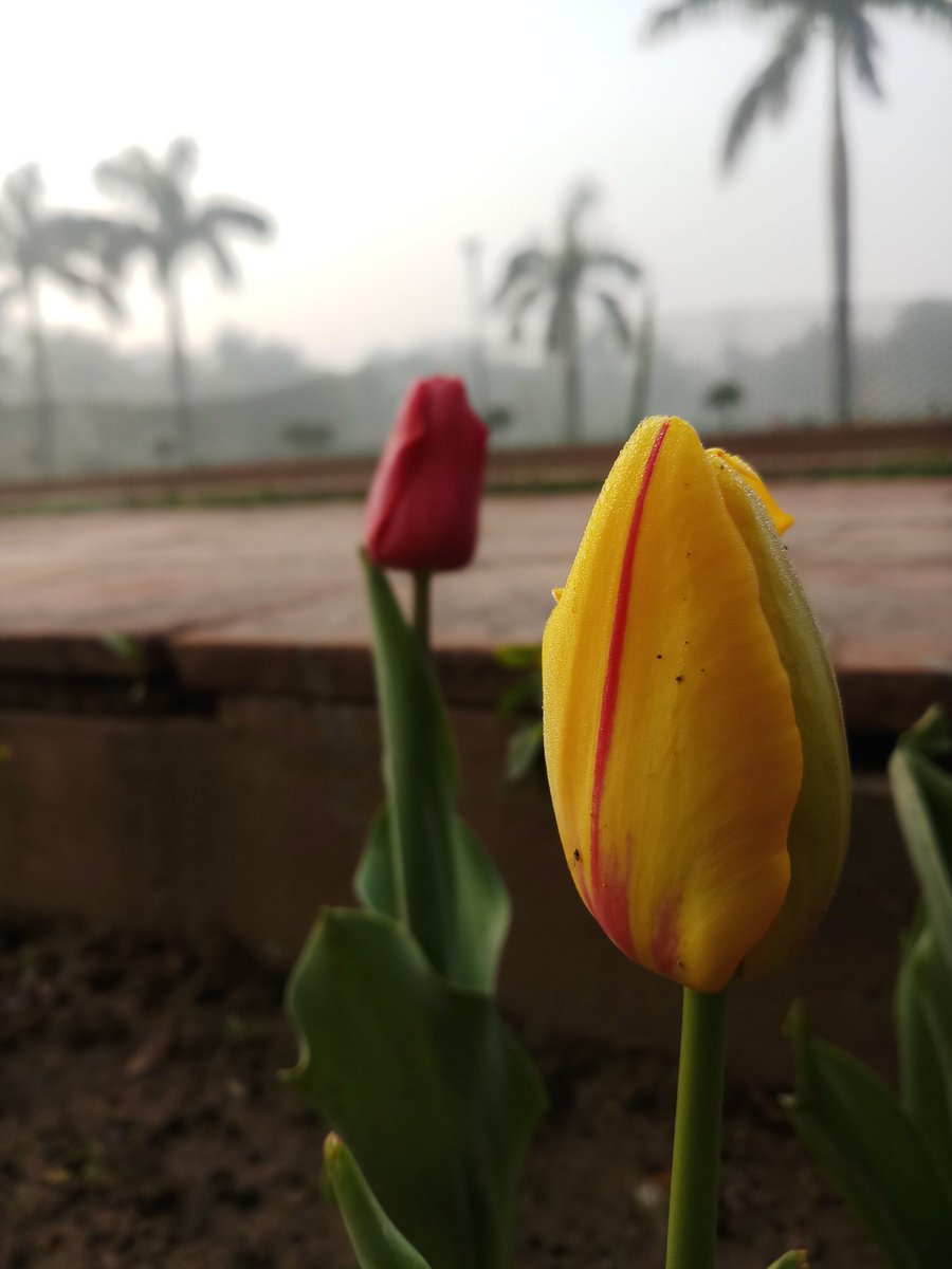titu_pore's tweet photo. Love to shoot of nature .. #Nature #photography  #Photos #PhotoOfTheDay https://t.co/oIIZBLou7H