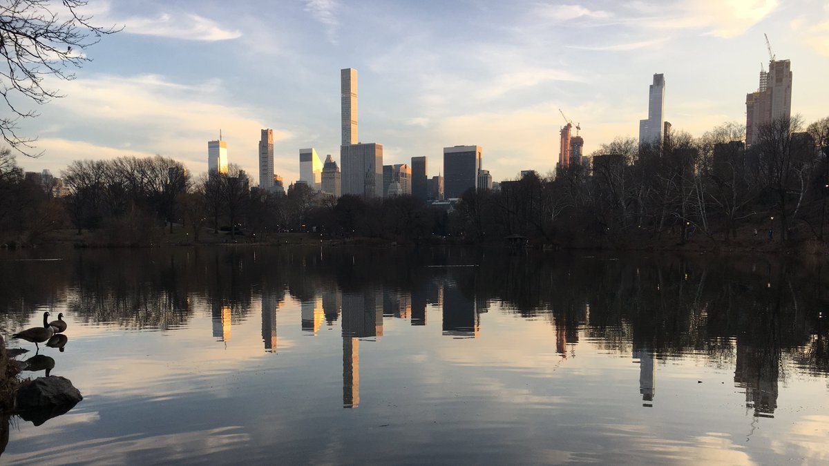 We wouldn't normally think of NYC as one of the most  #PeacefulPlaces but there are definitely some there.  

This was Central Park in February #FlashbackFridayz